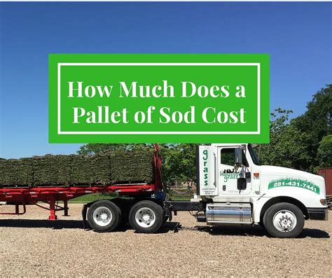 Pallet of sod cost. Things To Know About Pallet of sod cost. 